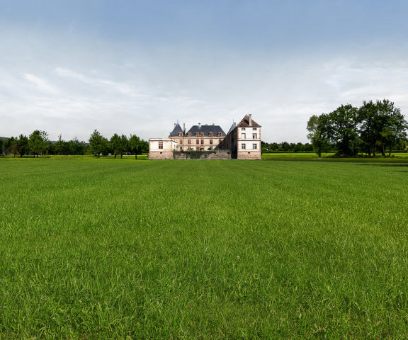 Wide green lawn in front of a big old castle.