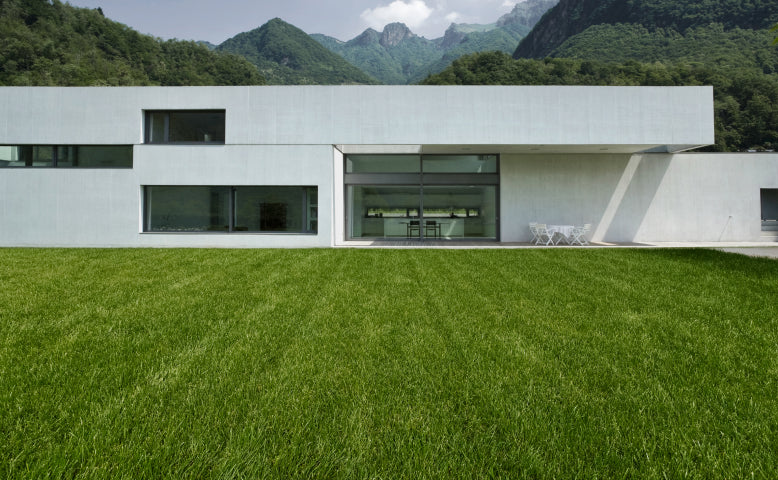 Modern house with a green lawn and mountains in background.