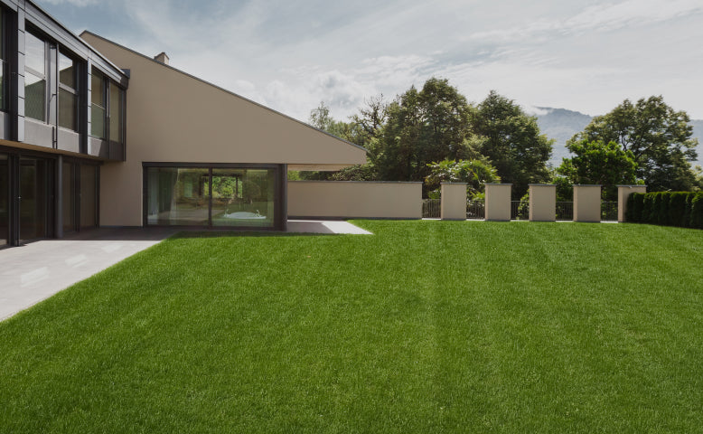 Segway Navimow i110E robot lawn mower is perfect for this.