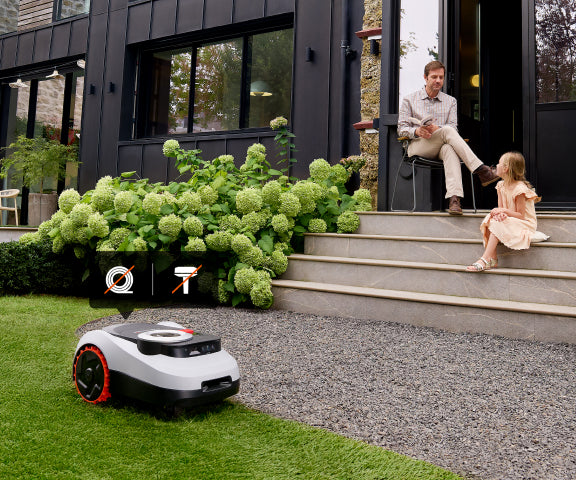 Segway Navimow i110E robot lawn mower mows the green grass.