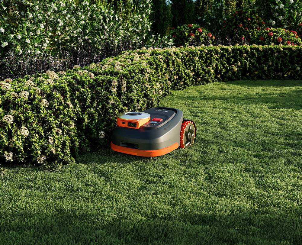 Segway Navimow i Series robot lawn mower in a garden.