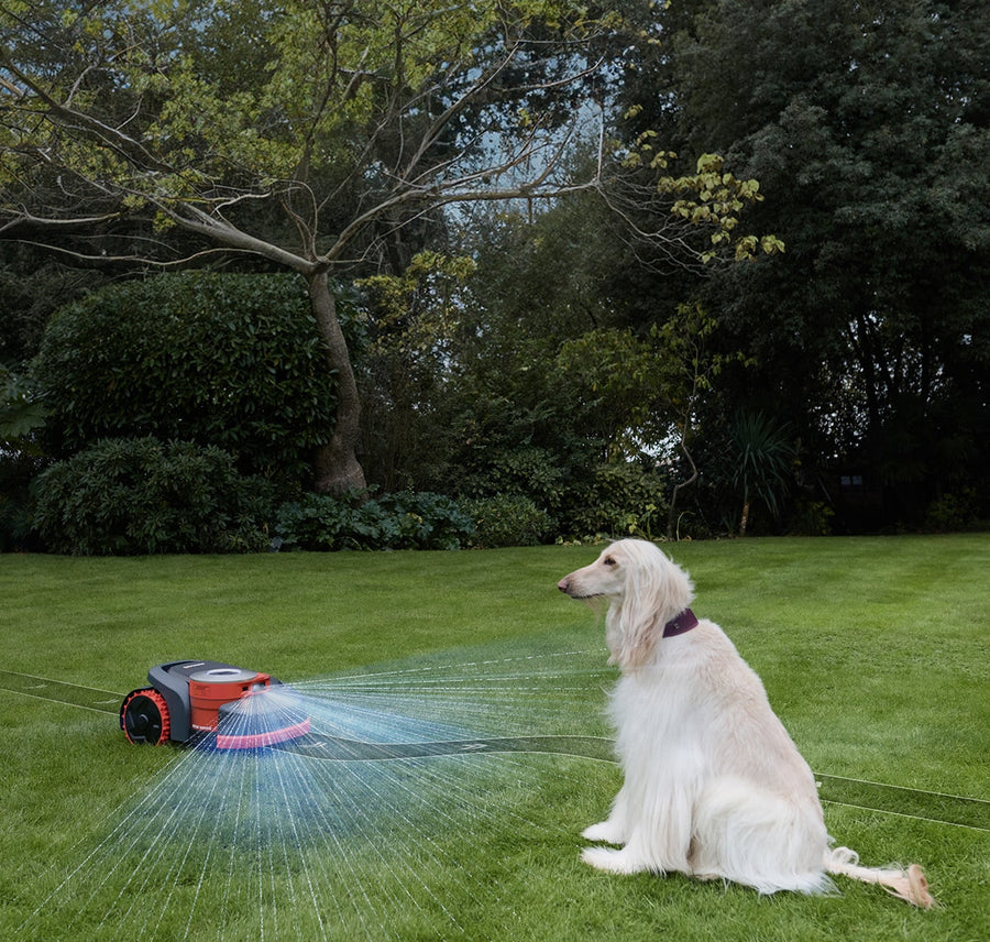 VisionFence – detekcia prekážok