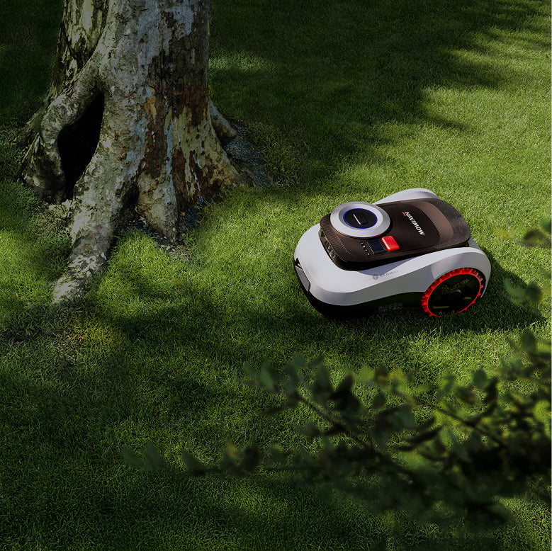 Segway Navimow i105E robot lawn mower on the green grass.