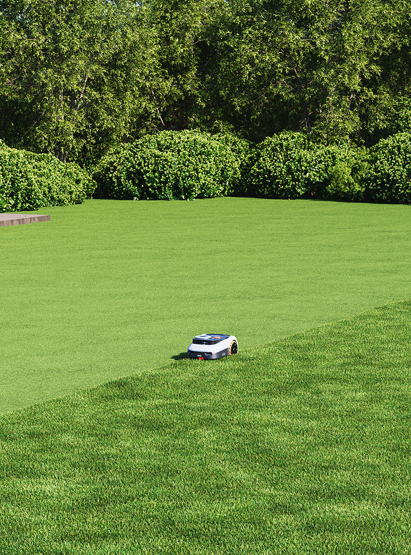 Navimow i105E robot lawn mower is cutting the green lawn.