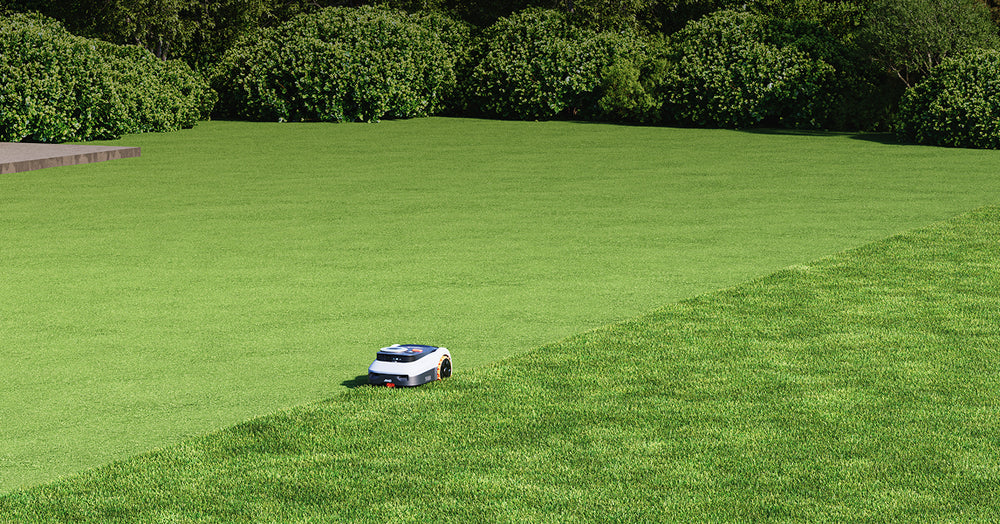 Navimow i110E robot lawn mower mows a large green lawn.